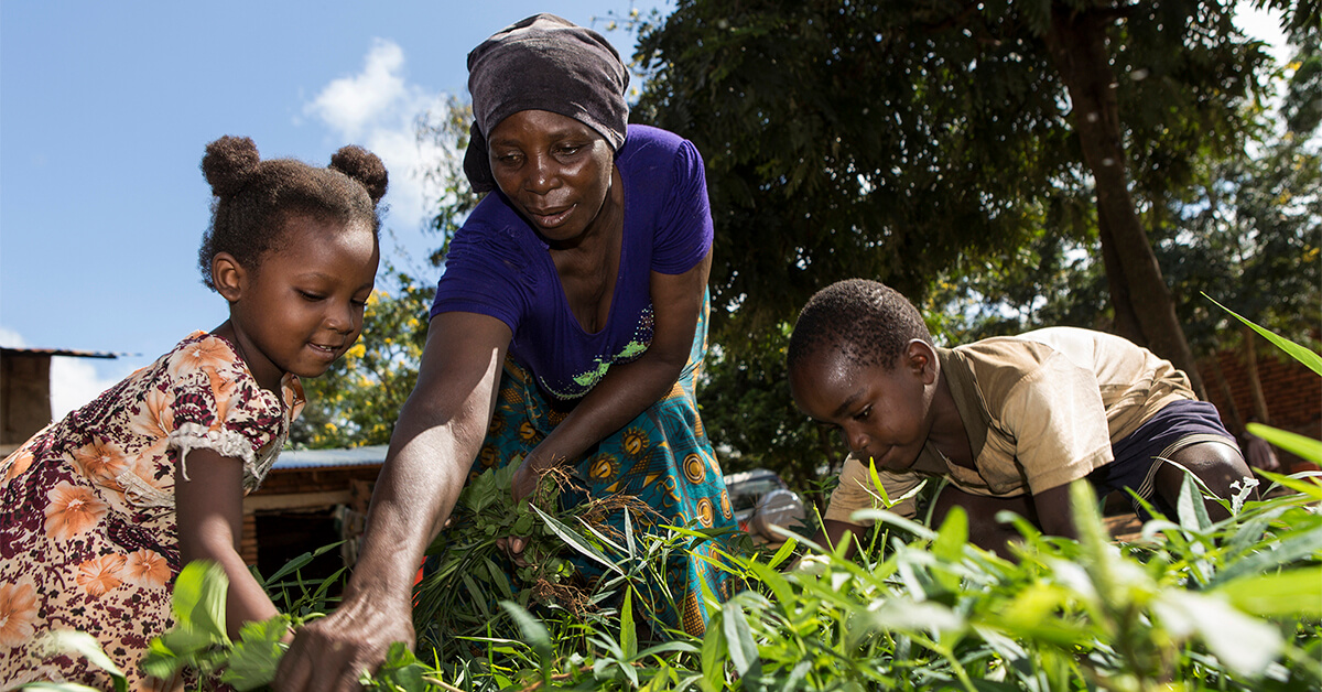 The Lancet: Impacts of COVID-19 on childhood malnutrition and nutrition ...