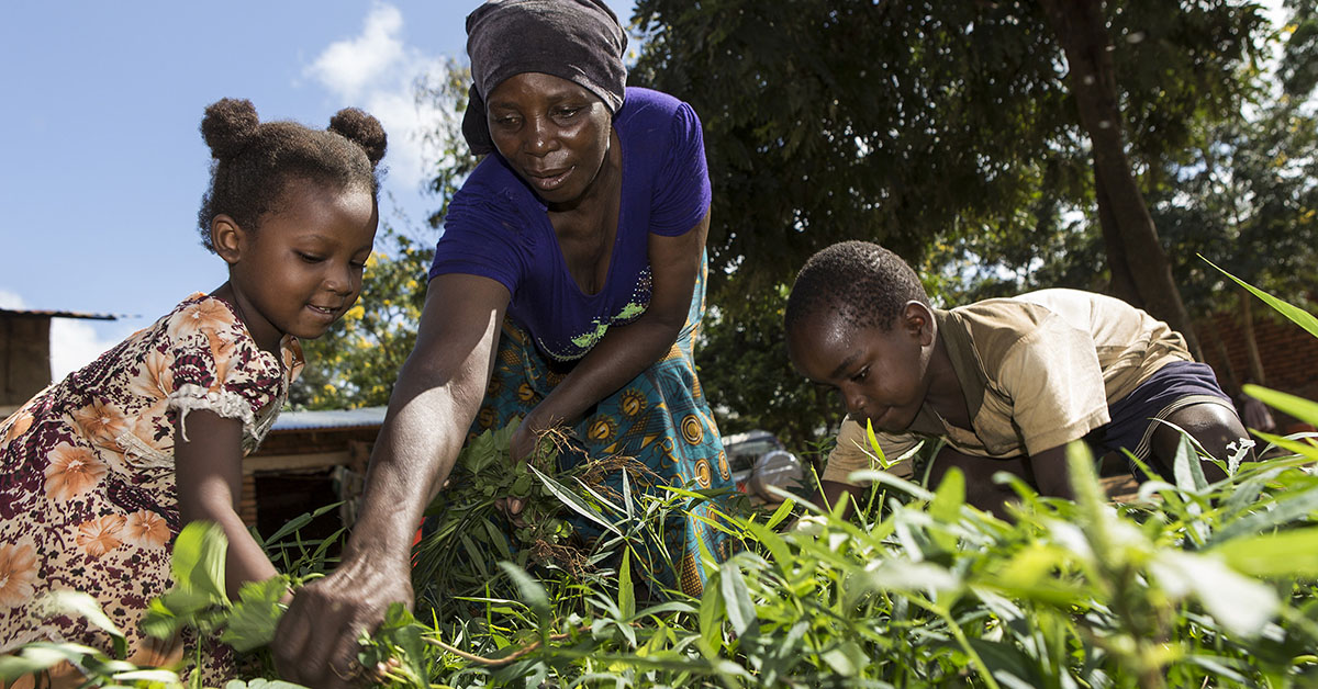 Donor funding for highimpact nutrition interventions declining