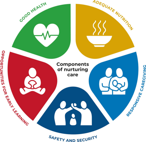 Components of nurturing care - good health, adequate nutrition, responsive caregiving, safety and security, and opportunities for early learning