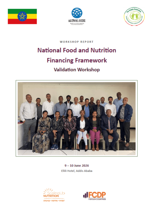 Ethiopia National Financing Framewor Validation Workshop Report Cover