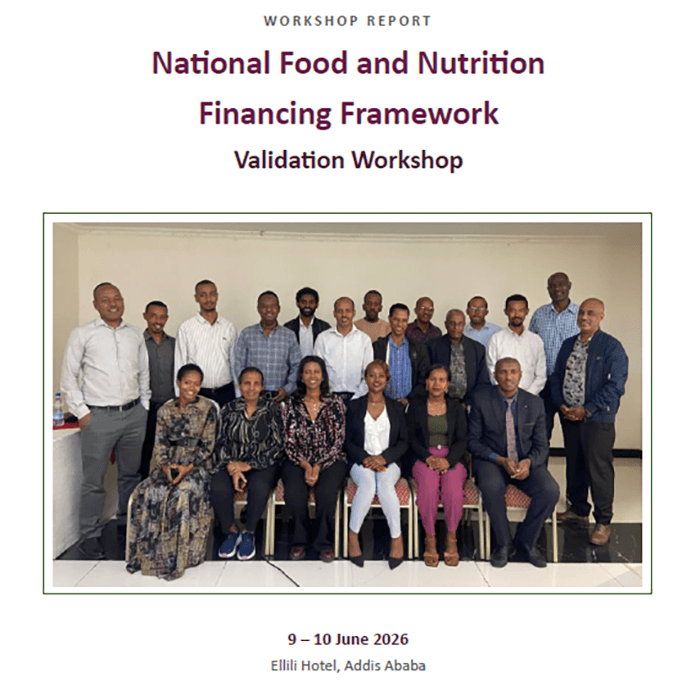 Ethiopia National Financing Framewor Validation Workshop Report cover