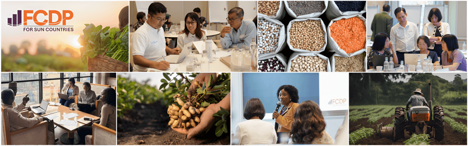 SUN Finance Capacity Development Platform Banner image collage of people harvesting vegetables, peanuts, beans and legumes and images of leaders from Asia and Africa