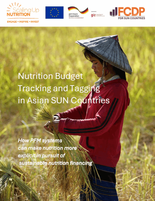 SUN Asia Nutrition Budget Tracking and Tagging Report Cover