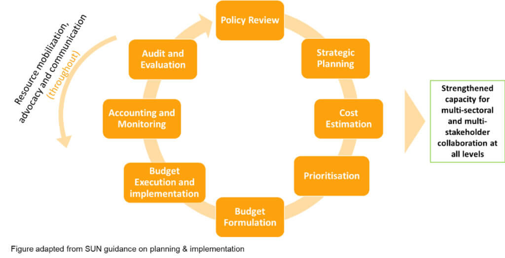 How economic evidence is used to plan for nutrition across sectors ...