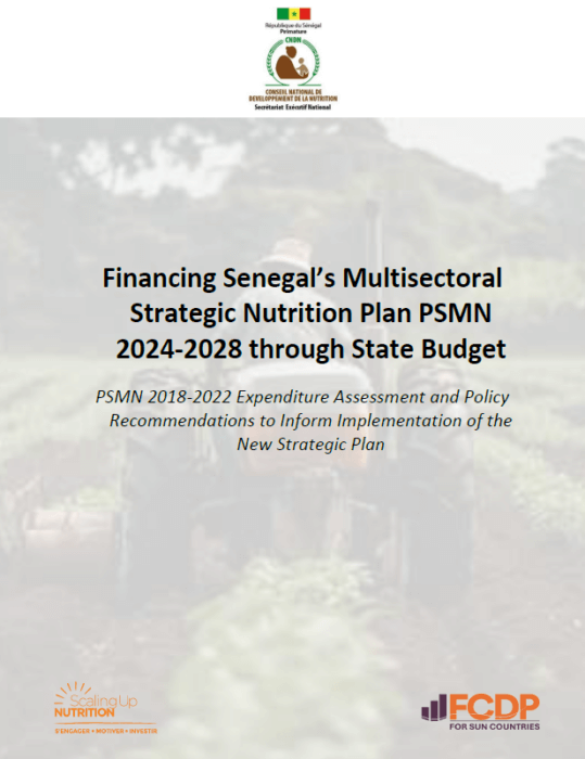 Report cover for Financing Senegal’s Multisectoral Strategic Nutrition Plan PSMN 2024-2028 through State Budget