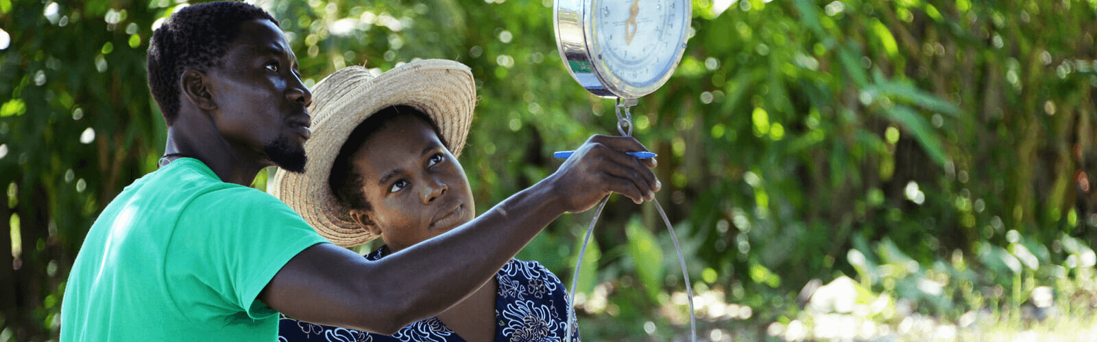 nutrition in food systems